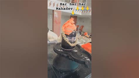 Livegoe Pack Leaked 2026 #f78