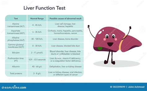 Liver Enzyme Function Test