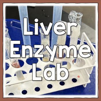 Liver Enzyme Virtual Lab