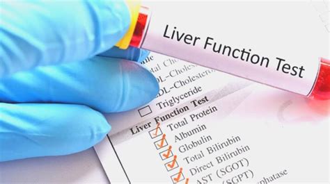 Understanding Your Liver Function Labs: What Do They Mean?