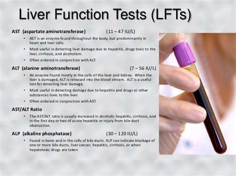 Understanding Elevated Liver Function Test Alanine Transaminase Levels: What You Need to Know