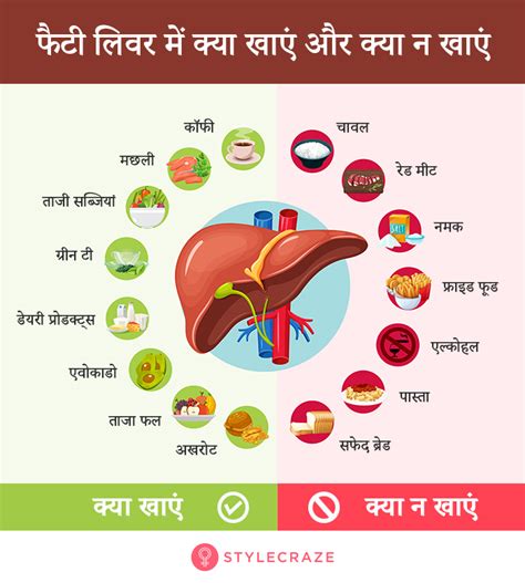 liver in hindi language