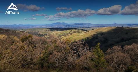 Texas Mountain Trail Daily Photo Mount Livermore Hike View