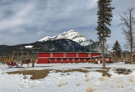 livery stables near banff