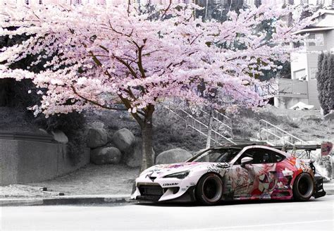 livery wallpaper sakura theme