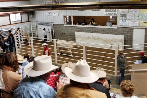 livestock auction barns near me schedule