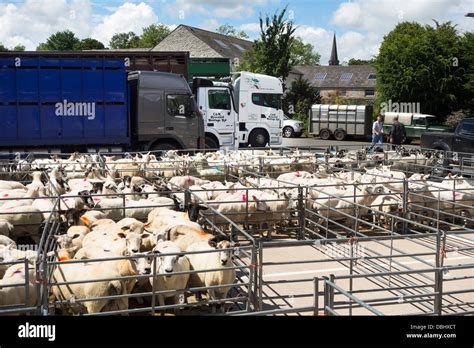 livestock market reports uk