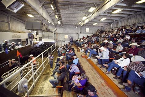 livestock sales in south dakota