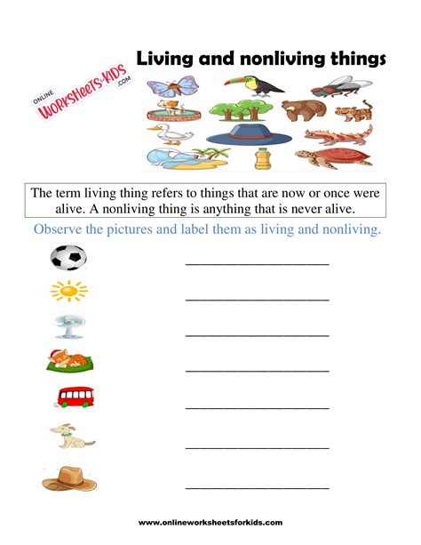 LIVING and NON LIVING THINGS online worksheet for YEAR 2