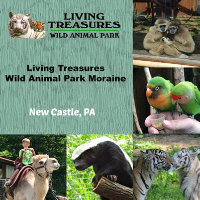 living treasures animal park locations