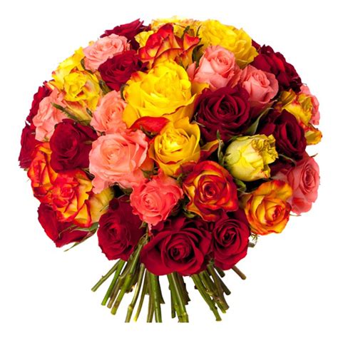 livraison bouquet de fleurs paris pas cher