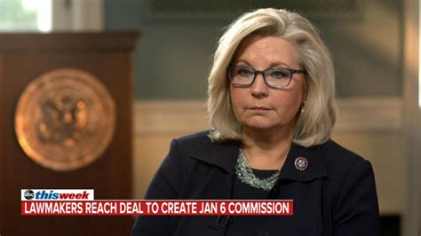 liz cheney on american political parties