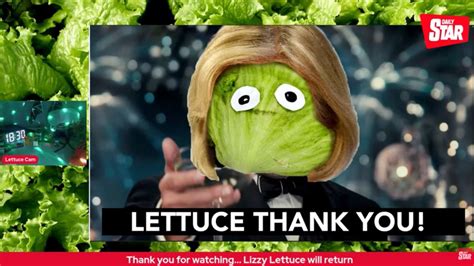liz truss lettuce live feed