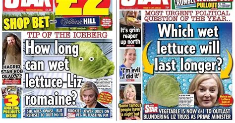 liz truss vs lettuce daily star