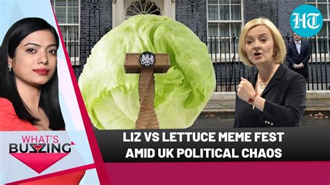 liz truss vs lettuce daily star meme