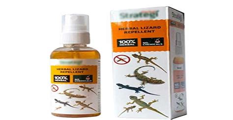 Lizard Repellent Vinegar