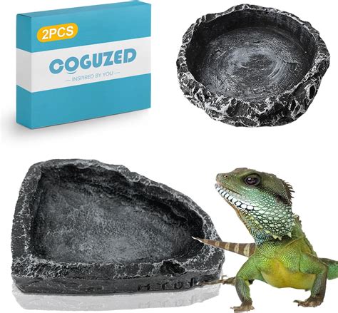 Lizard Water Dish