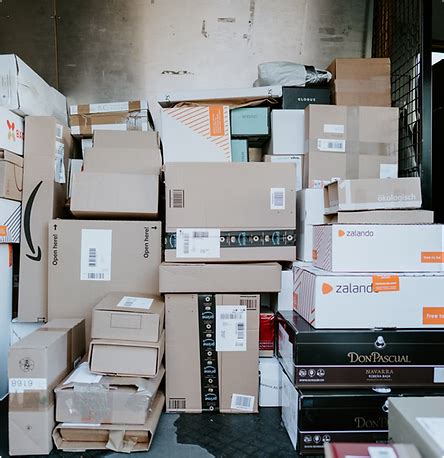 lmd same day delivery