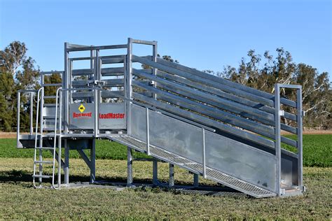 Loading Ramp For Cattle