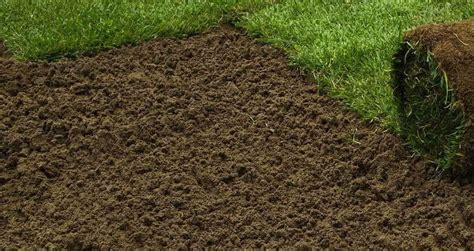 loam for grass