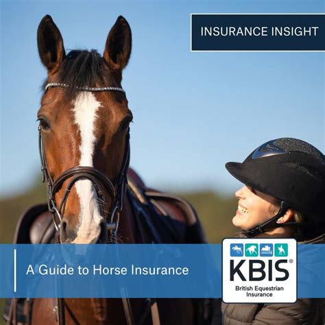 loan horse insurance