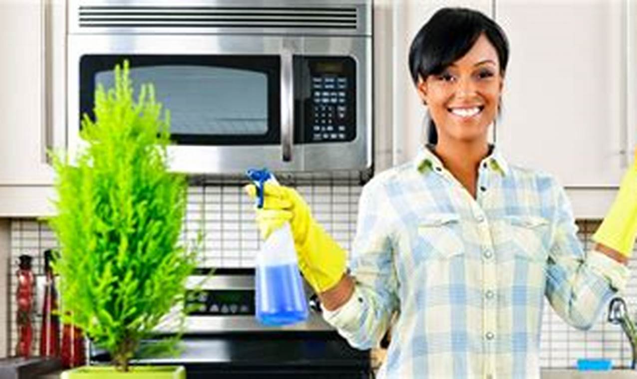 loans for eco-friendly home cleaning service startup