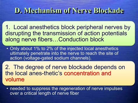 Local Anesthetics Nerve Blockade