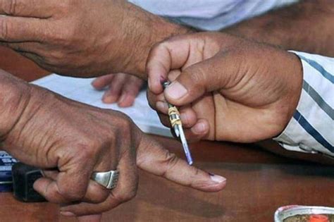 local body election results in tamilnadu