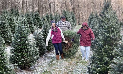Local Christmas tree farms see record sales numbers Video ABC News