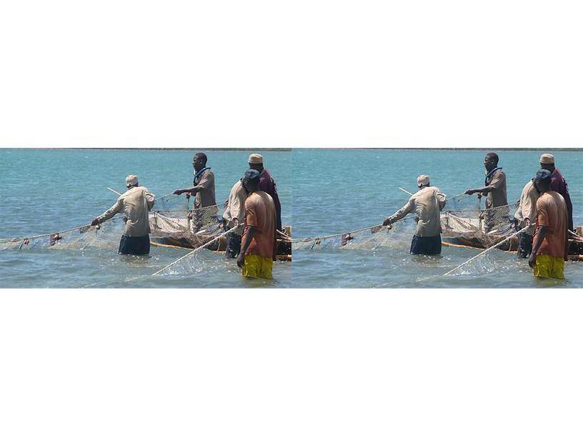 Local Community Members Counting Fish