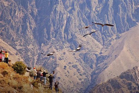 local guide Colca Canyon