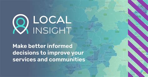local insight