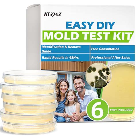 Local Mold Test Kits
