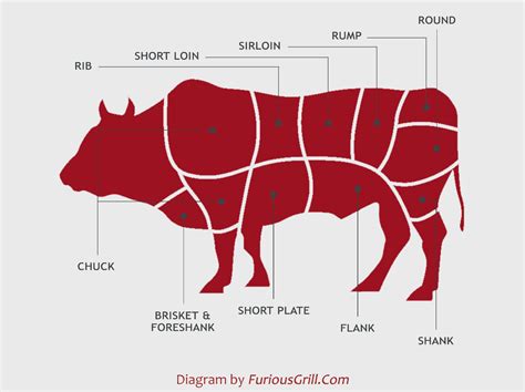Location Of Beef Cuts