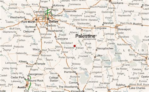 location of palestine texas