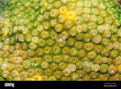 location underwater views