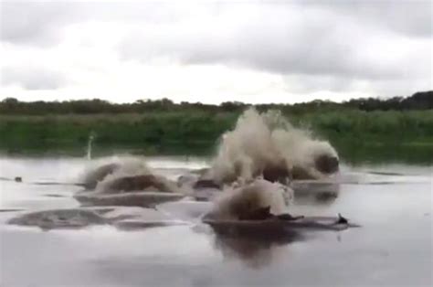 loch ness monster underwater