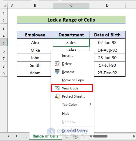 lock cells in excel without protecting sheet vba