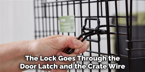 Lock On Dog Crate