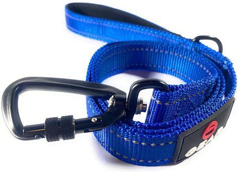 Locking Carabiner Leash
