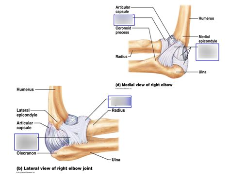 Locking Of The Elbow Joint