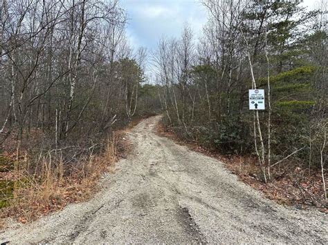 Locust Gap Pa Zip Code