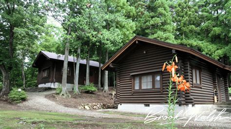 Log Home Advantages And Disadvantages
