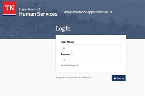 log in to dhs account tennessee