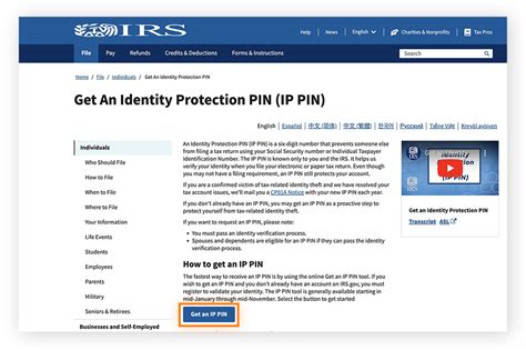 log into irs account with ip pin