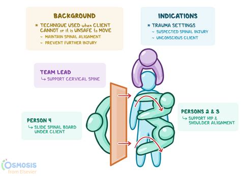 PPT Spinal Cord Injury (SCI) PowerPoint Presentation, free download