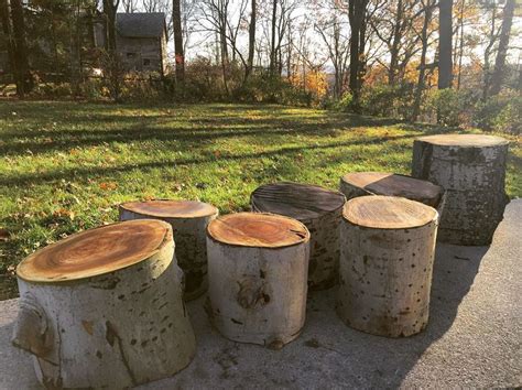 Log Stools For Classroom