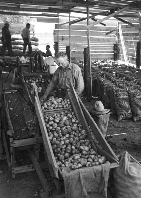 Logan Austin Shawnee Mission