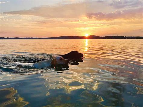 Logan Martin Water Temp