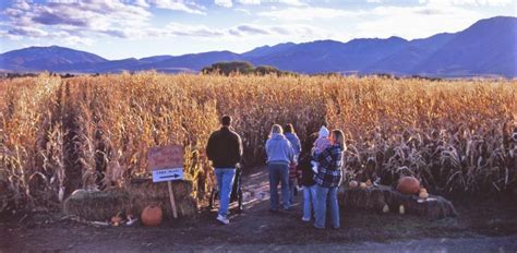 Logan Utah Corn Maze